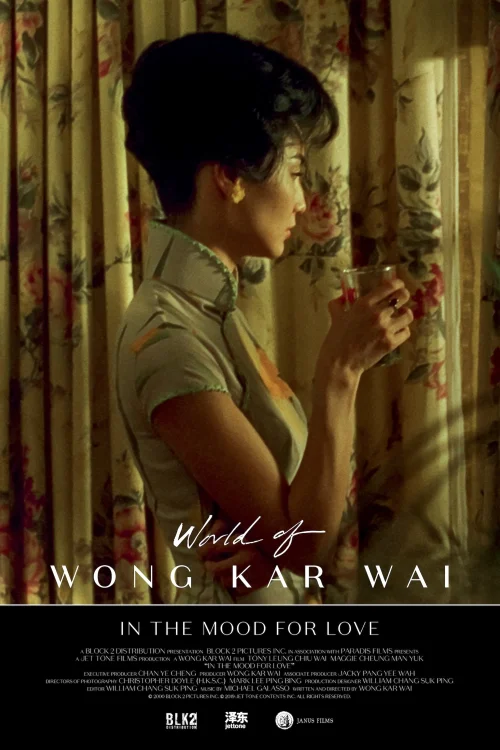 In the Mood for Love Collection