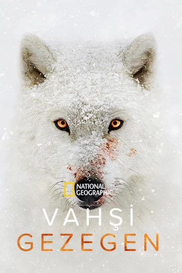 Vahşi Gezegen